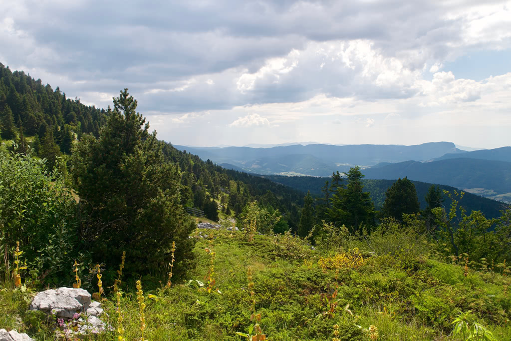 View across the Vercors plateau