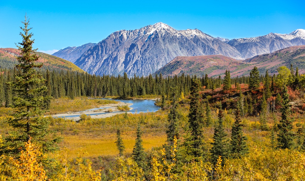 Alaska Denali landscape