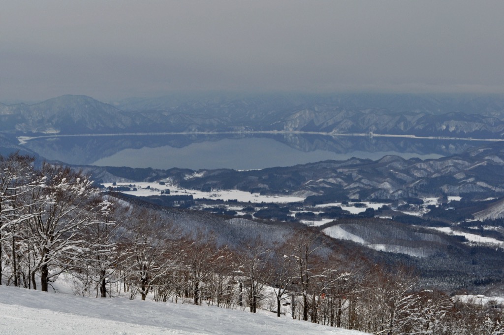 Typical Tazawako: magic trees and incredible lake views (the lake is renowned in the summer). Japan Skiing