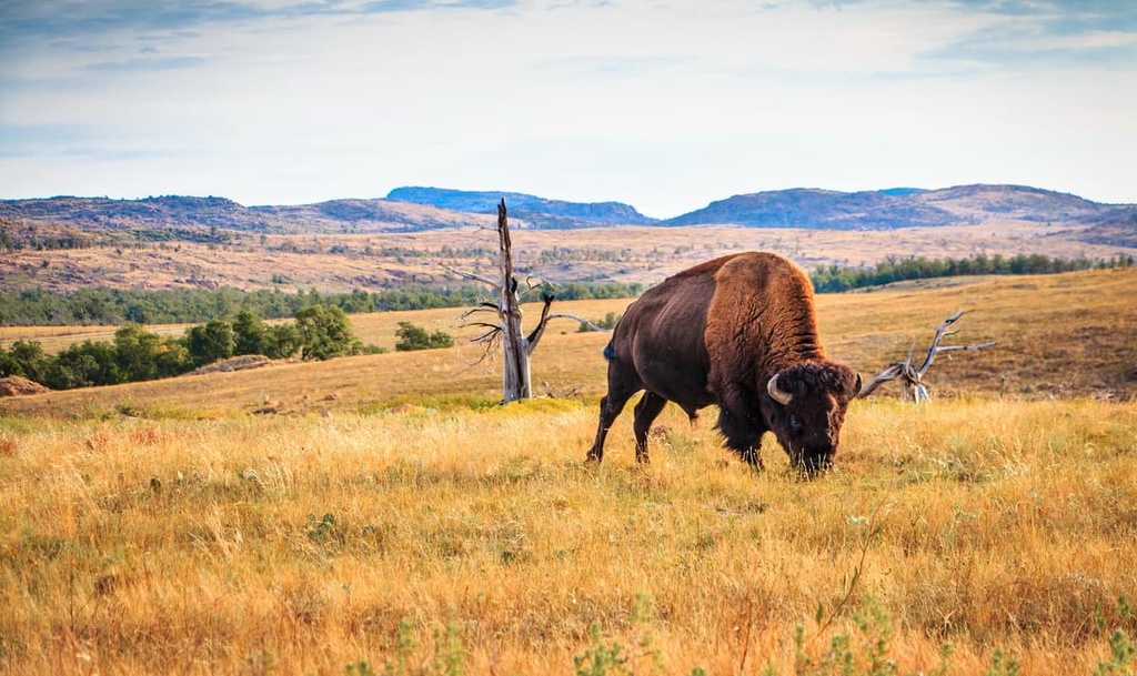 Wichita Mountains National Wildlife Refuge