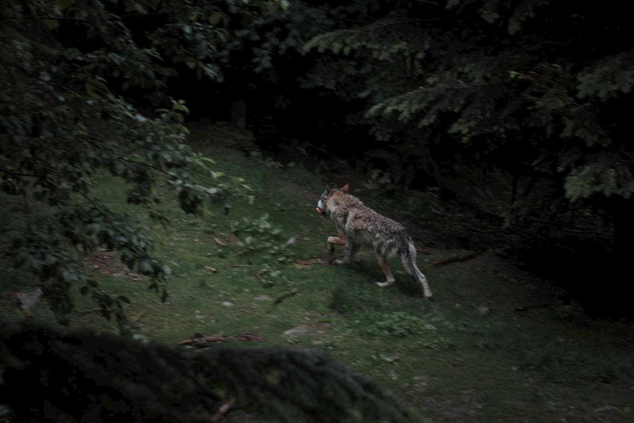 Mercantour National Park