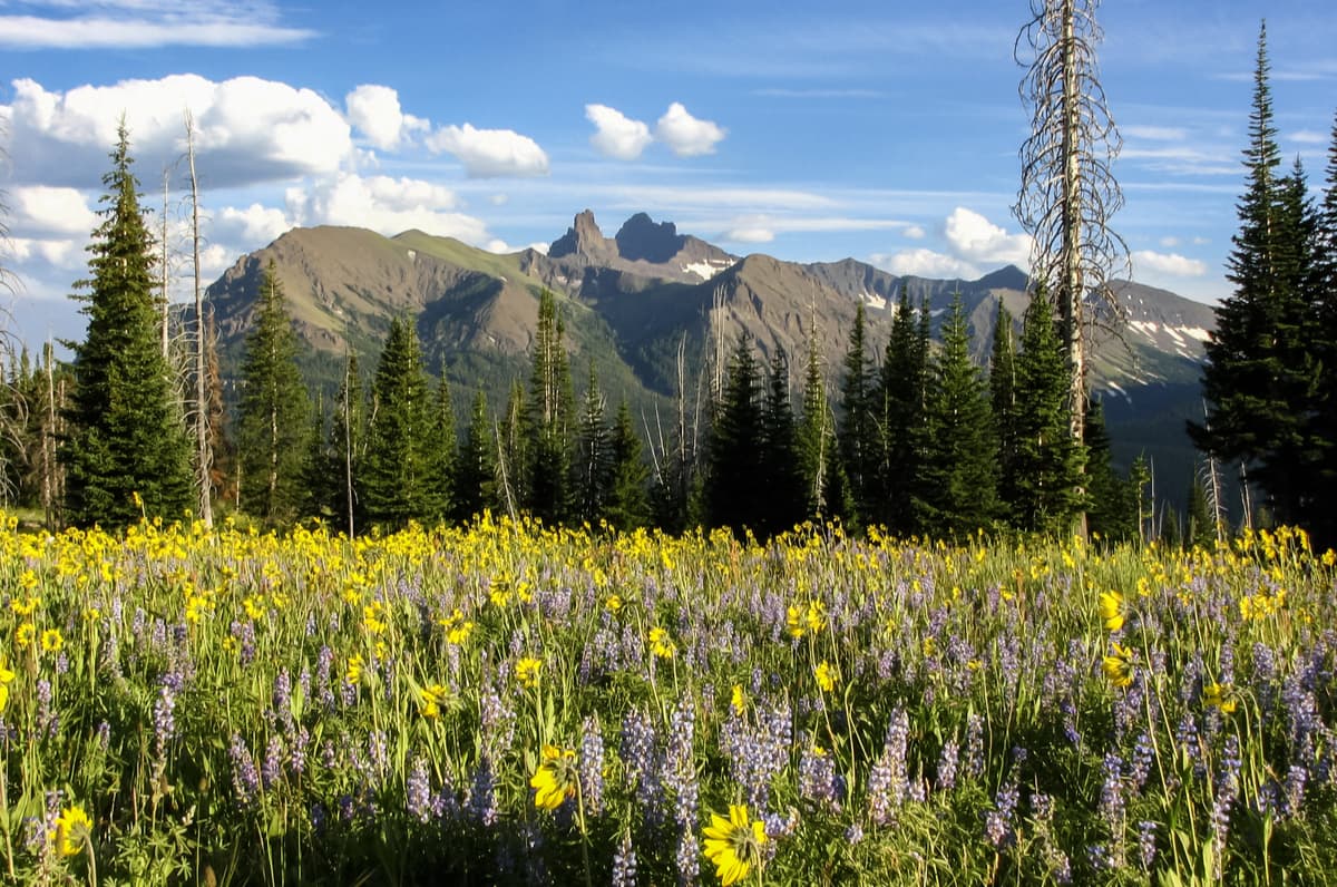 Absaroka Range