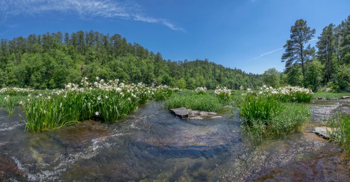 Cahaba River National Wildlife Refuge, Alabama