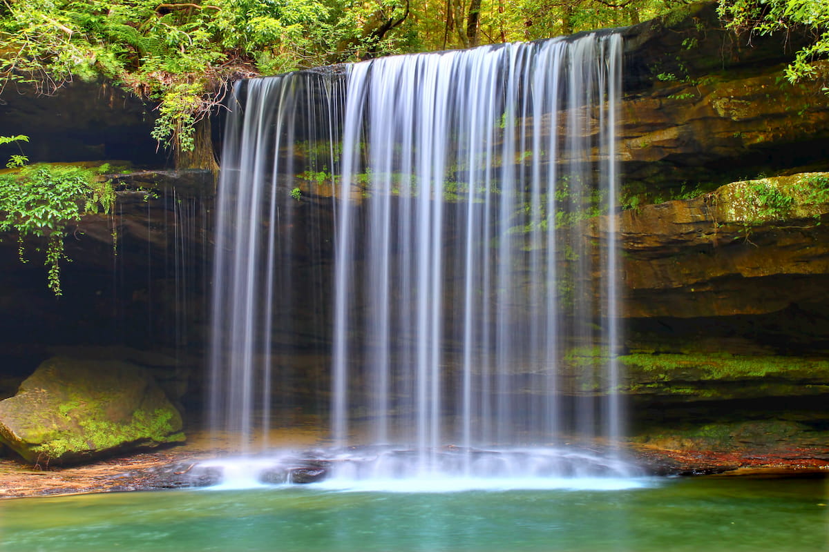 William B. Bankhead National Forest, Alabama