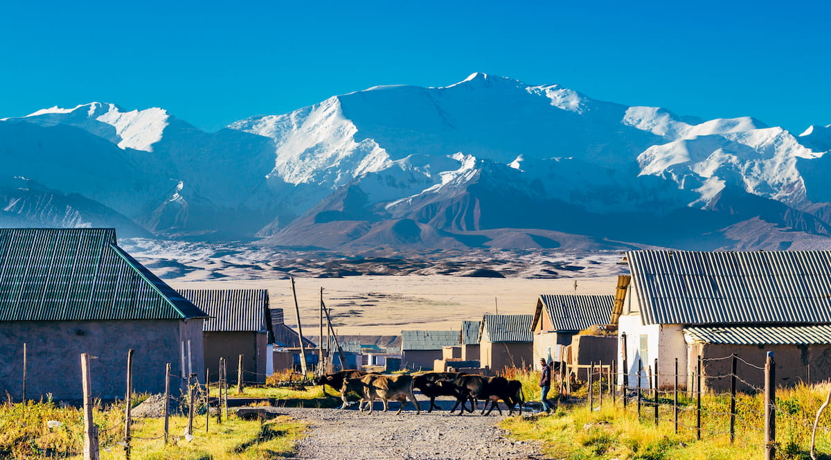 Kyrgyzstan, Alai Range, Pamir-Alai System