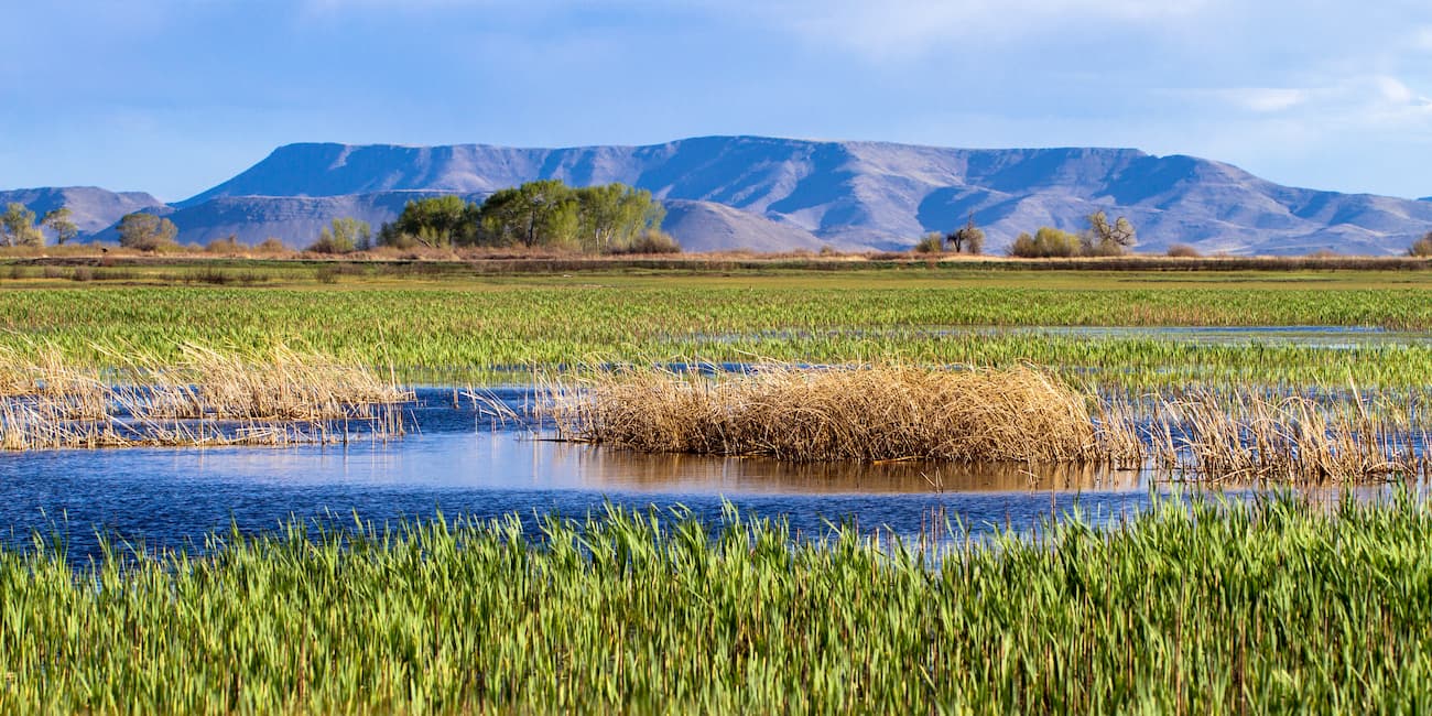Alamosa National Wildlife Refuge