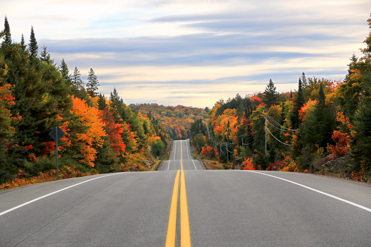 Road to Algonquin Provincial Park, Ontario