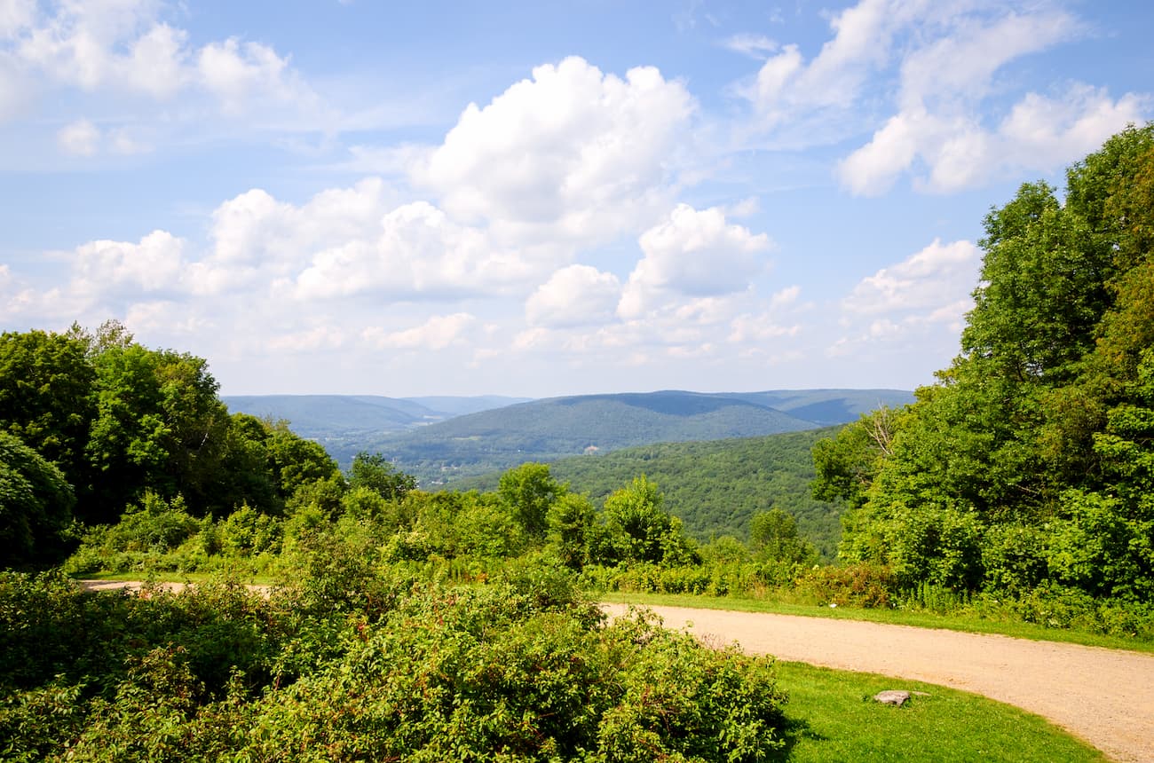 Waterfalls In Allegany State Park