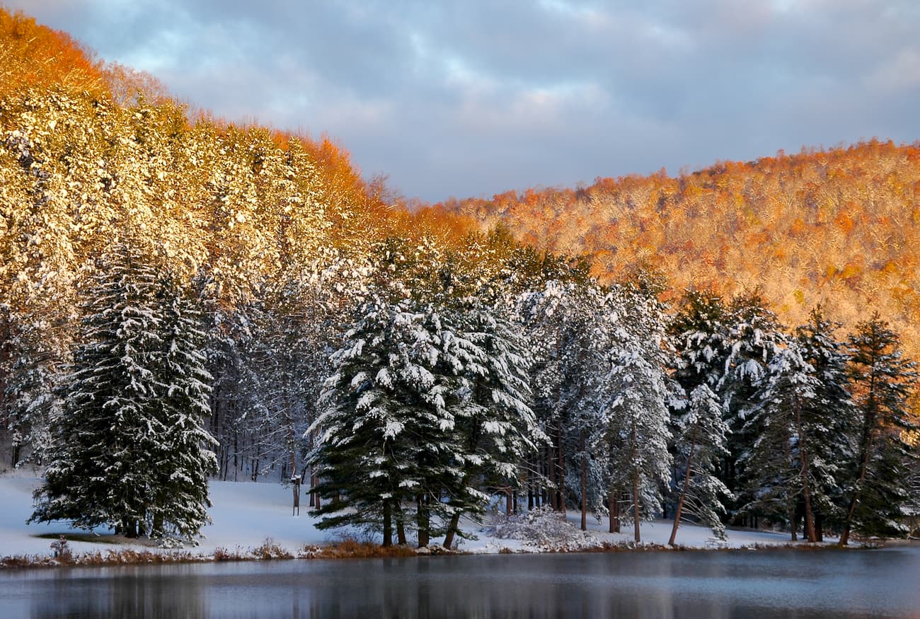 Allegany State Park in winter