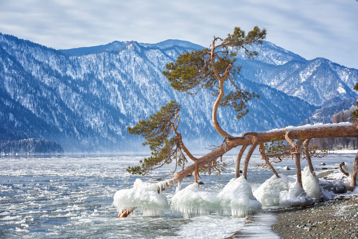 Altai Natural Biosphere Reserve