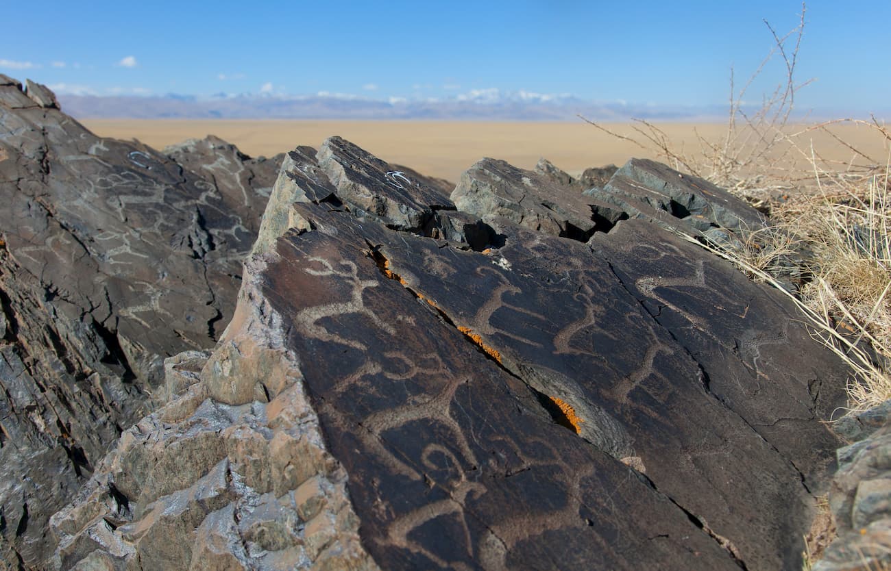 Carvings. Ukok Nature Park