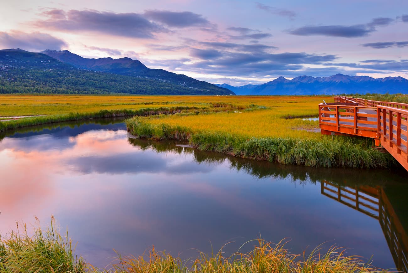 Potter Marsh Wildlife Viewing Boardwalk, Anchorage