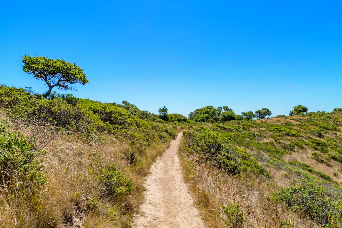 Angel Island State Park