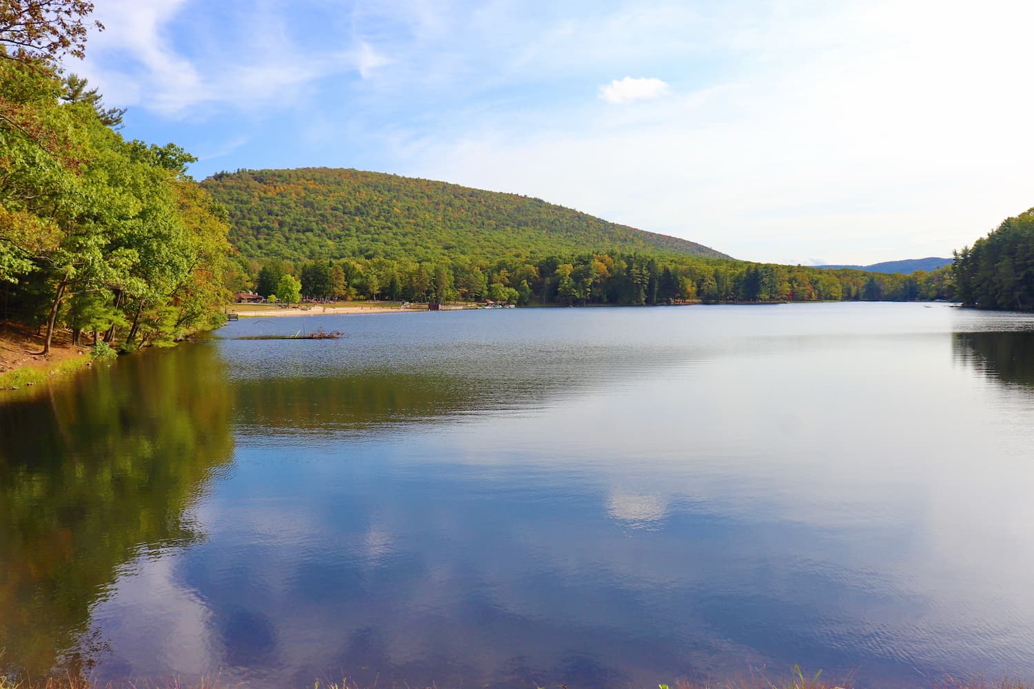 Buchanan State Forest