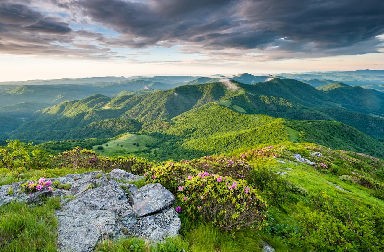 Roan Highlands Southern Appalachian Mountain Scenic a lo largo del Sendero de los Apalaches cerca de las fronteras estatales de Carolina del Norte y Tennessee