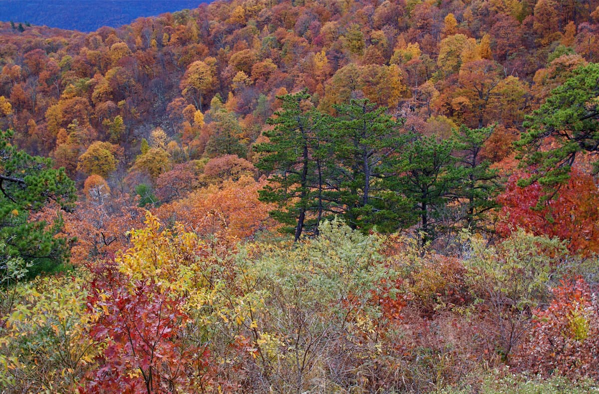 Appalachian Ridges