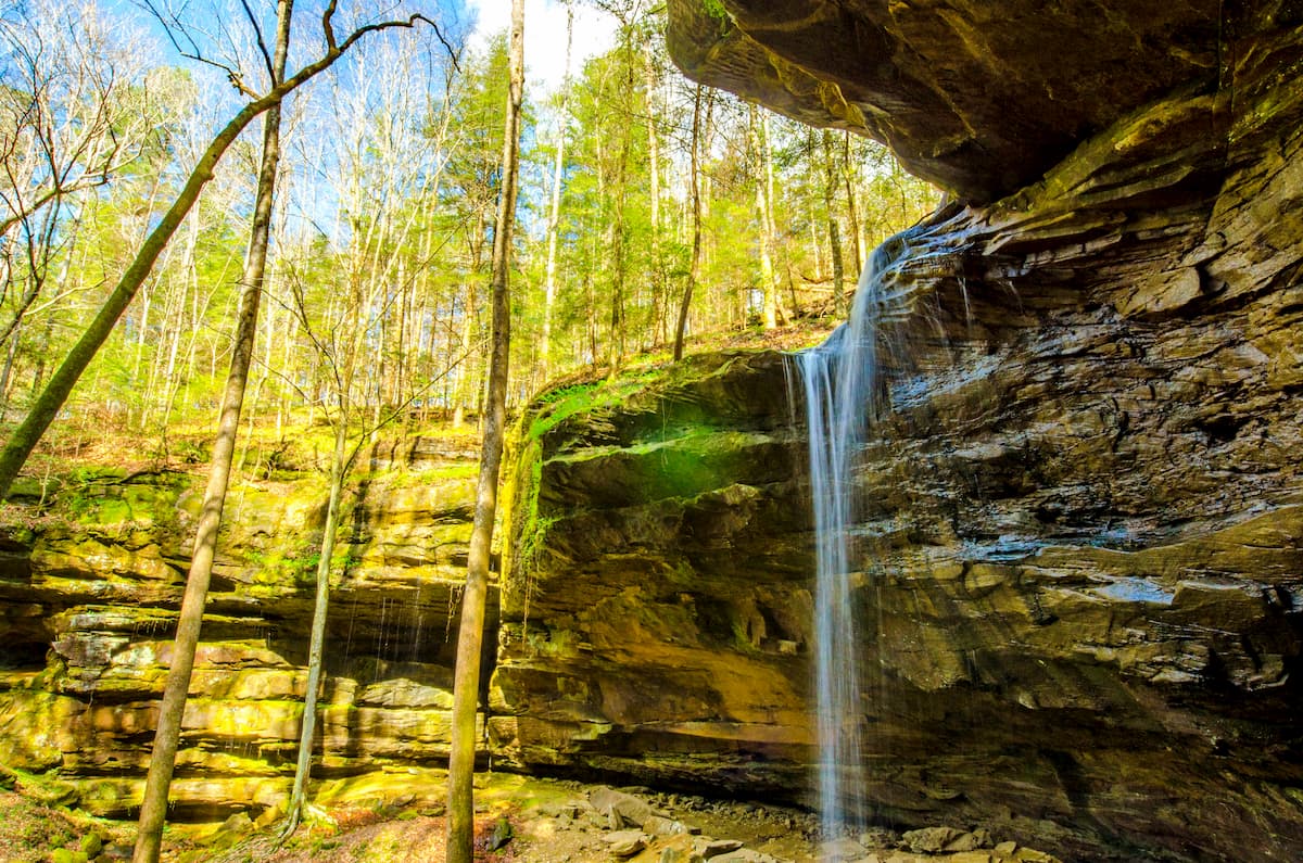 William B. Bankhead National Forest