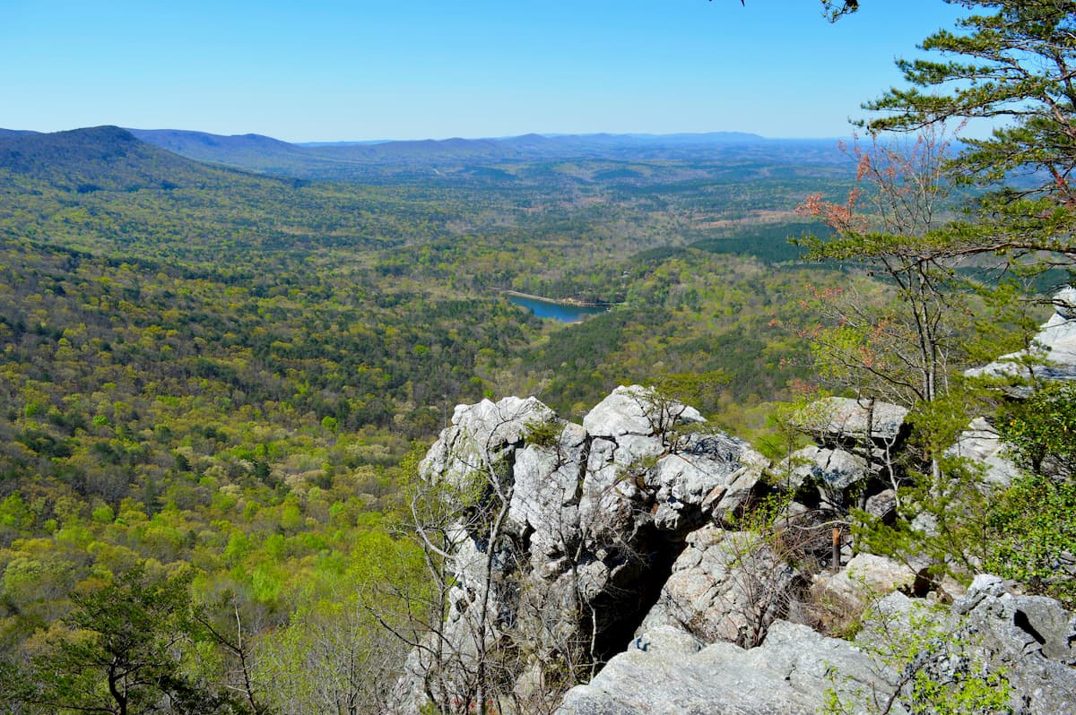Talladega National Forest