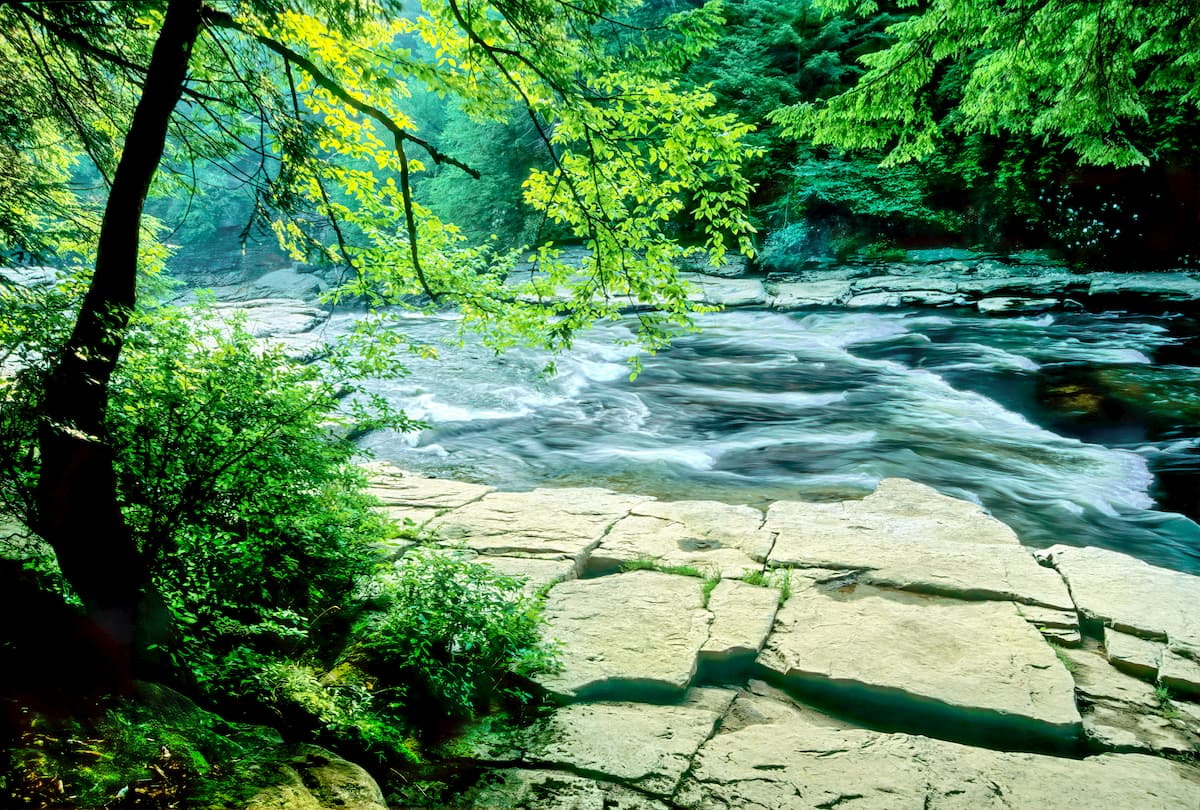 Youghiogheny River Natural Environment Area