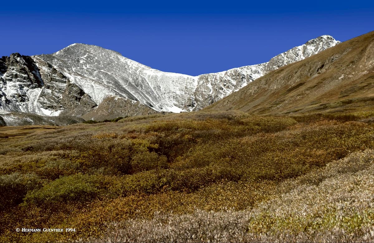 Grays Peak (l) and Torreys Peak (r)