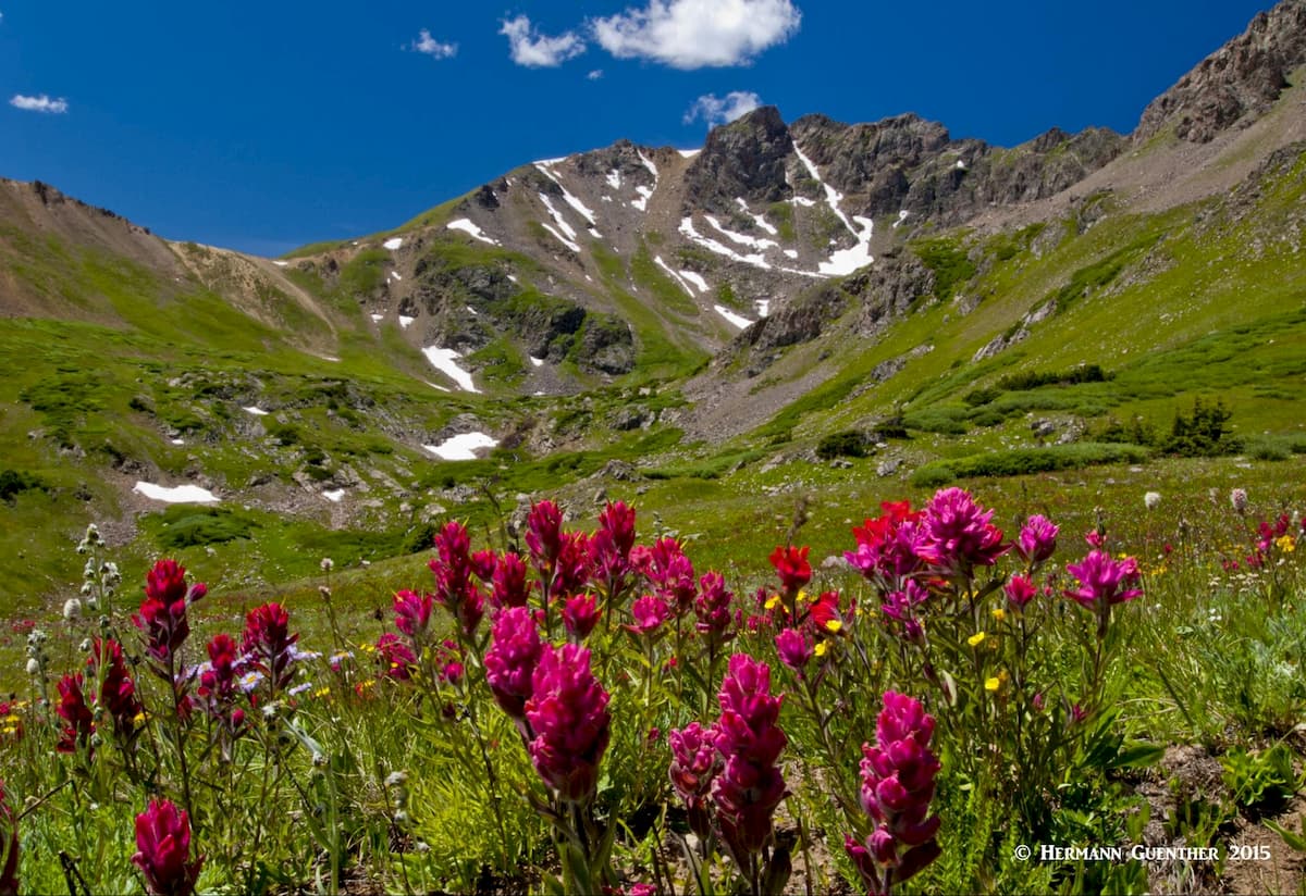 Herman Gulch, The Citadel