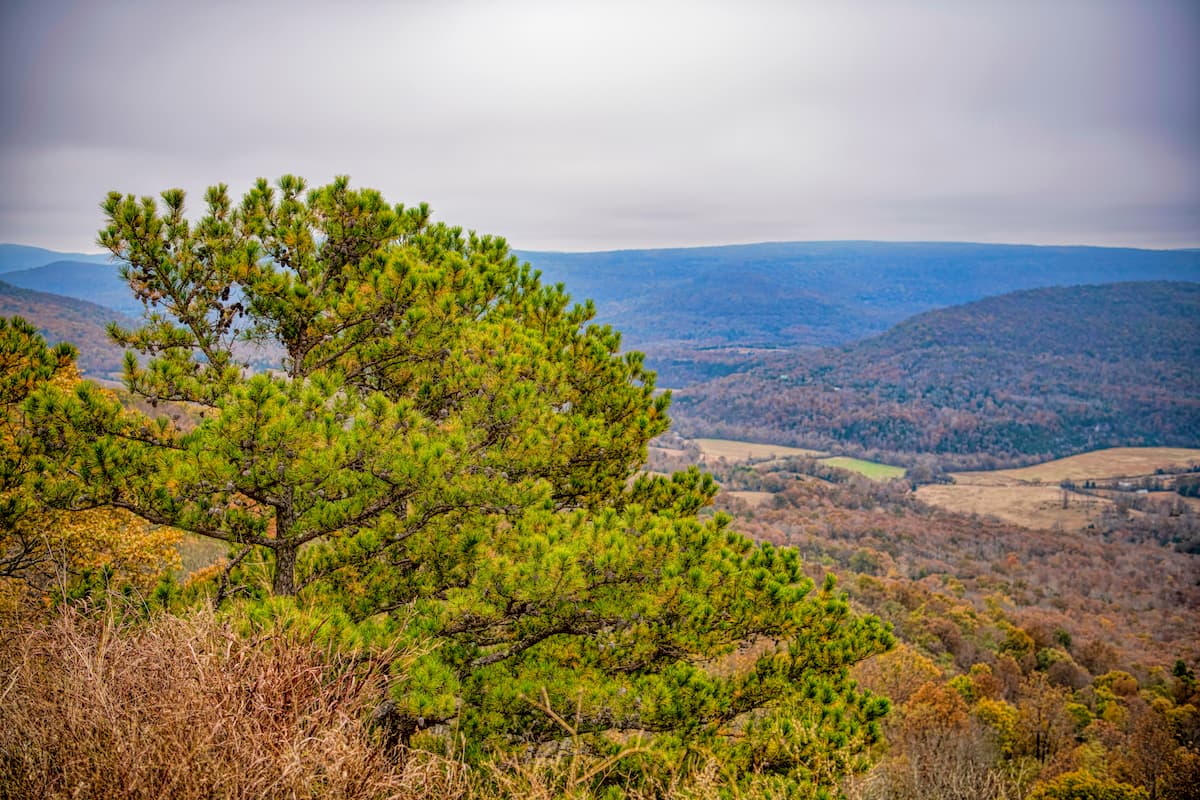 Petit Jean Valley Atop Mount Magazine in Northwestern in ARkansas