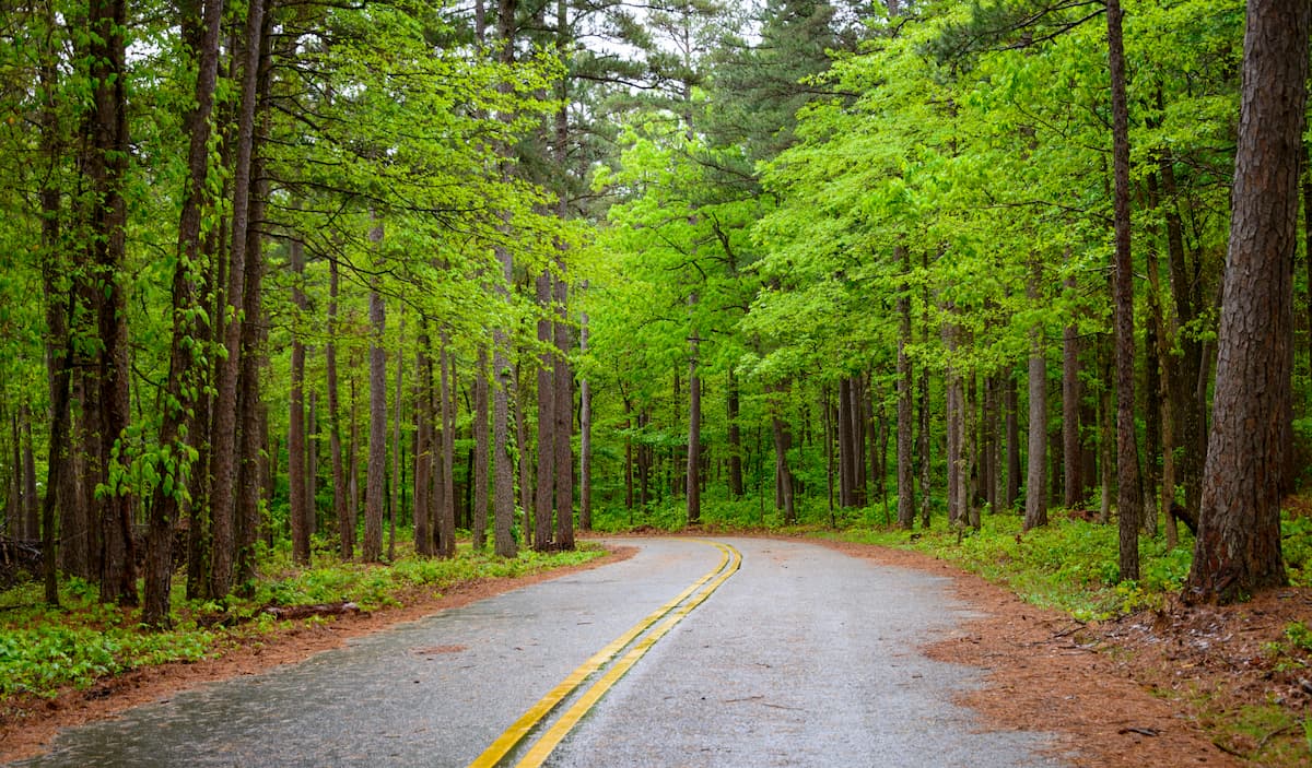 Ouachita National Forest in ARkansas