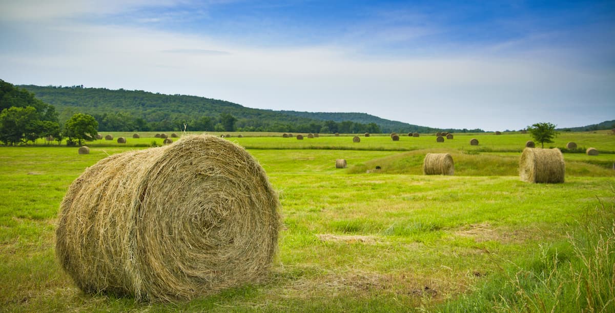 Fields in ARkansas