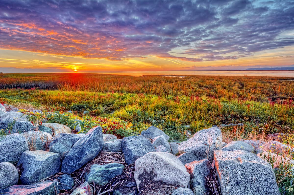 Mississippi Alluvial Plain. Arkansas
