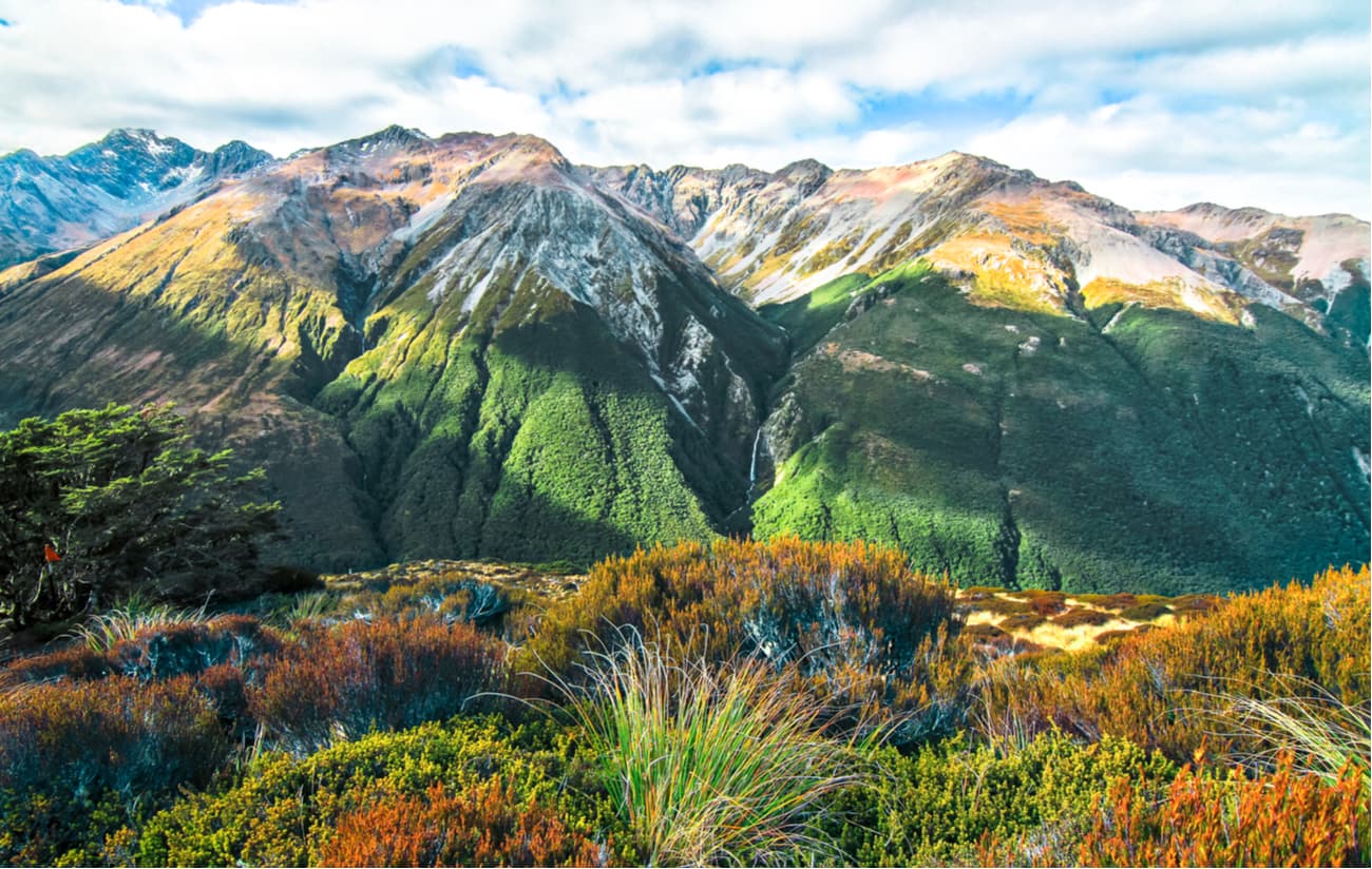 Arthur S Pass National Park