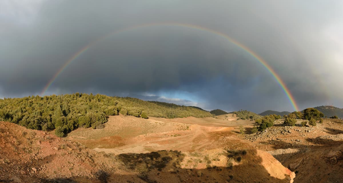 Ifrane National Park, Atlas Mountains, Morocco