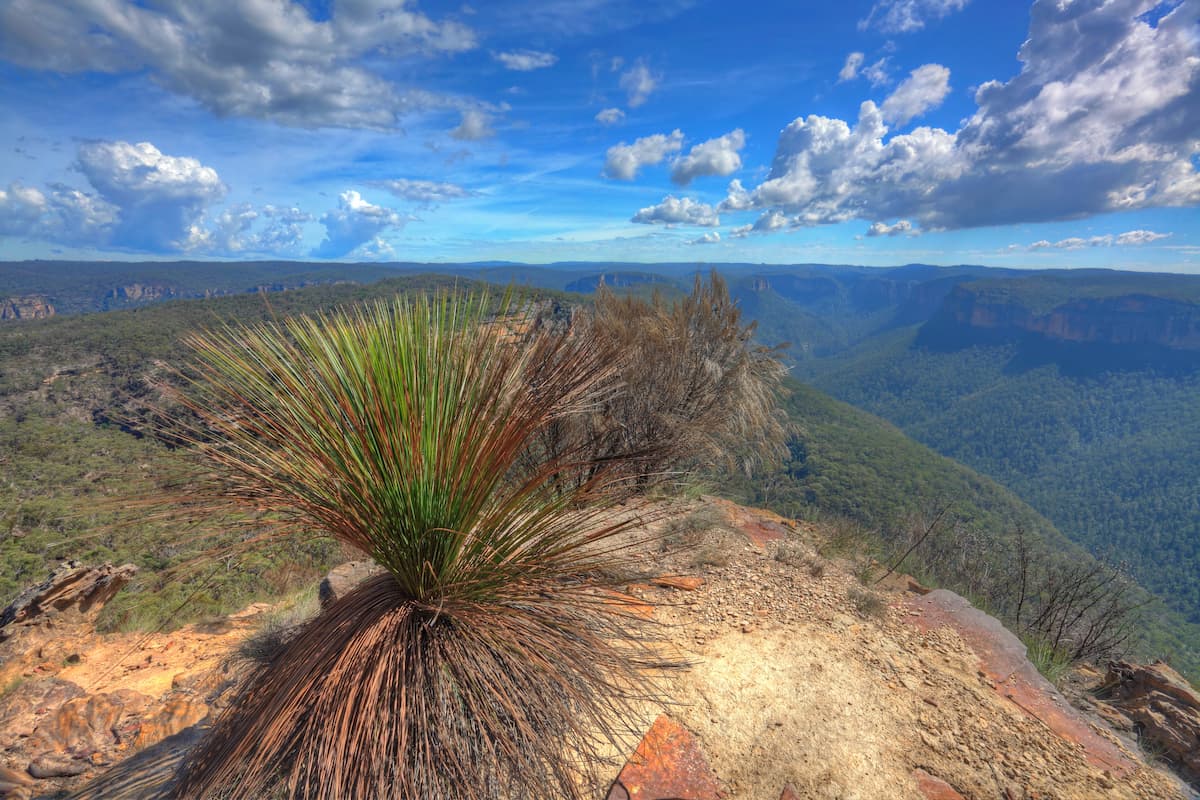 Burramoko Ridg in Blue mountains, Australia