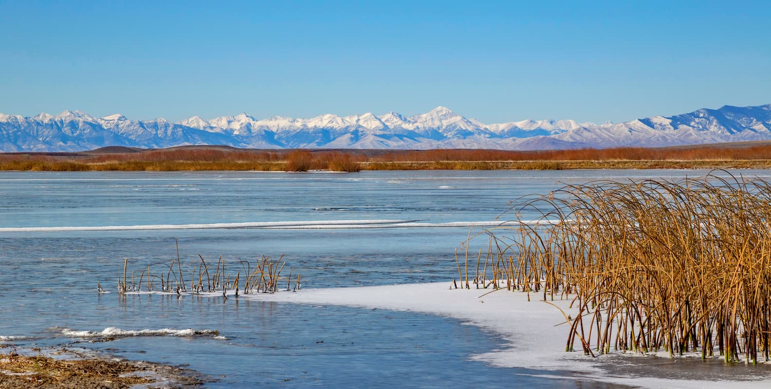 Beaverhead Mountains