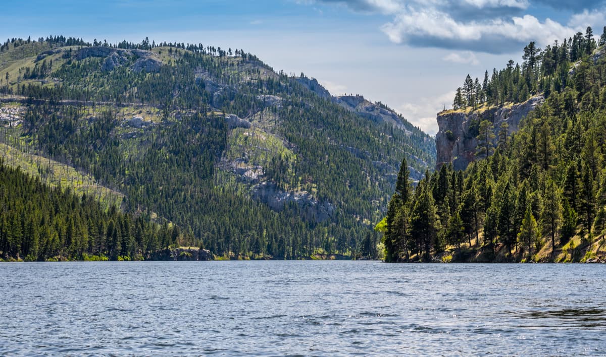Helena National Forest