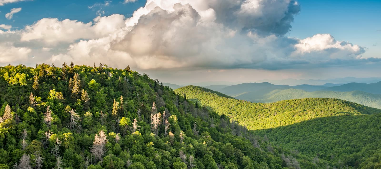 Stunning spring view of the north mountains from Black Mountain. North Carolina