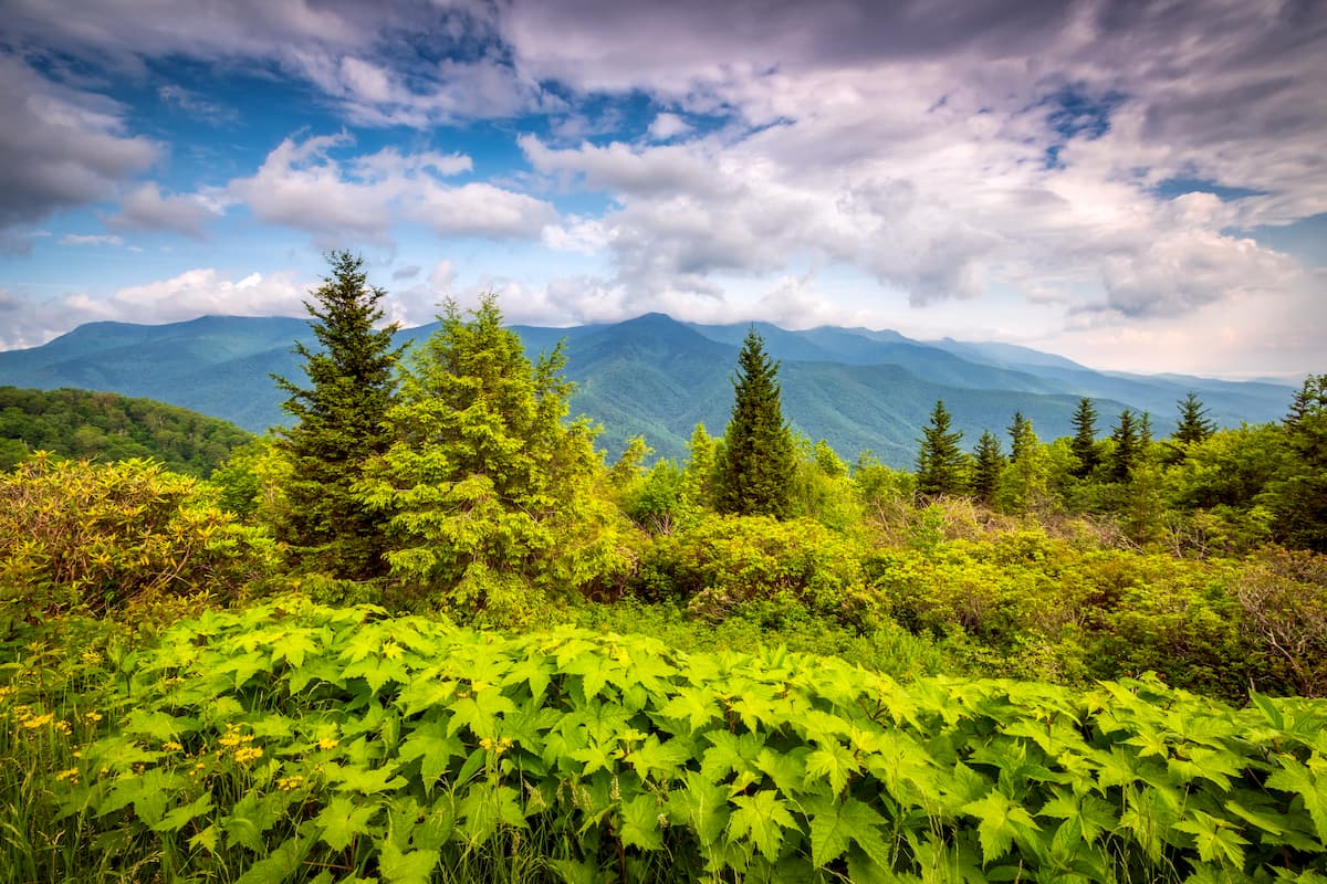 Black Mountains (North Carolina)