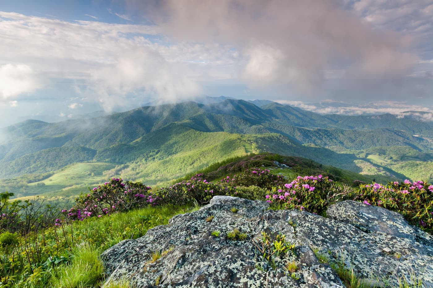 Pisgah National Forest