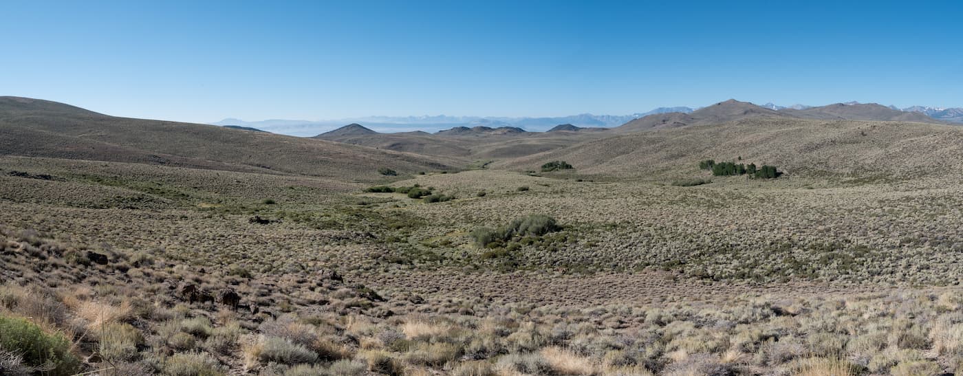 Panoramic view. Bodie Mountains
