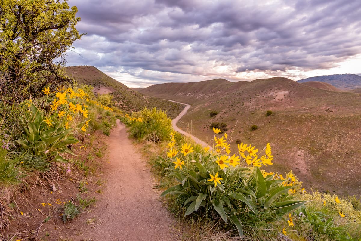 Boise Mountains