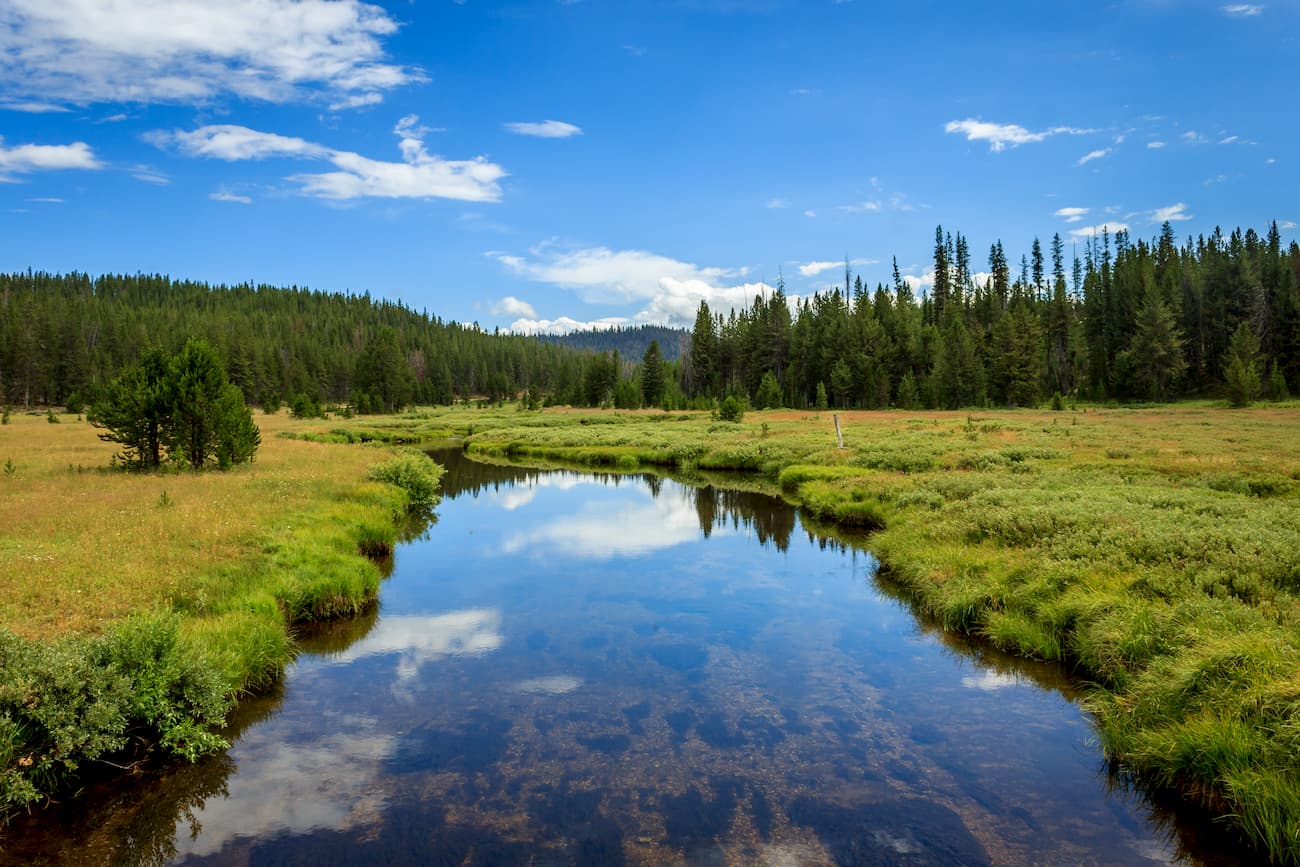 Boise National Forest