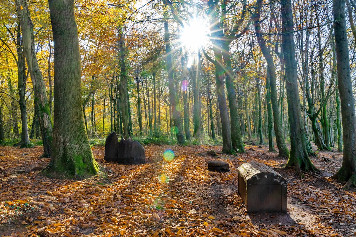 Fforest Fawr Sculpture Trail.  Brecon Beacons National Park
