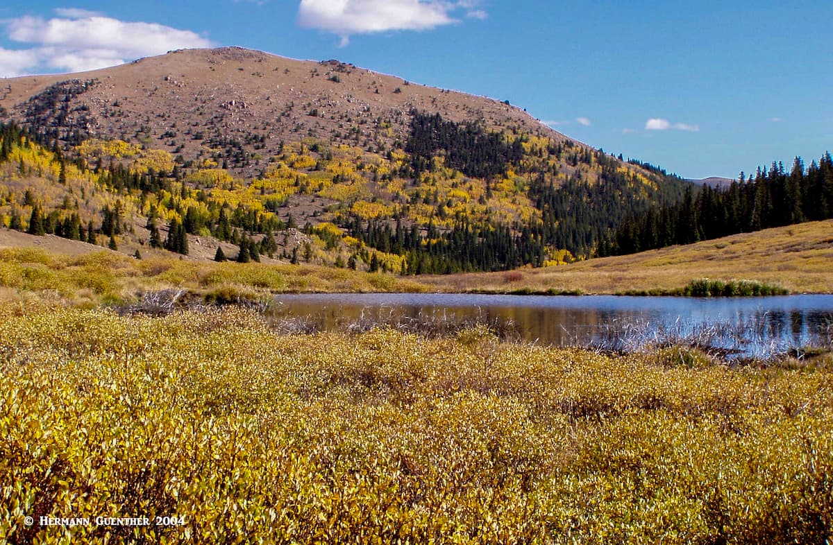 Buffalo peaks wilderness clearance loop