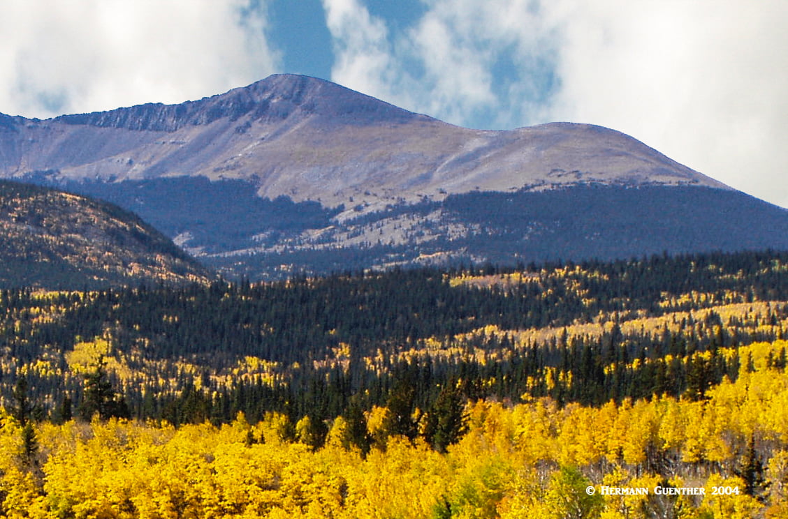 Buffalo peaks wilderness loop sale