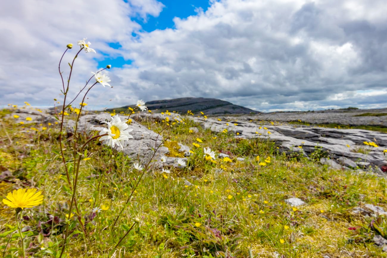 Mullaghmore Traverse. Burren National Park
