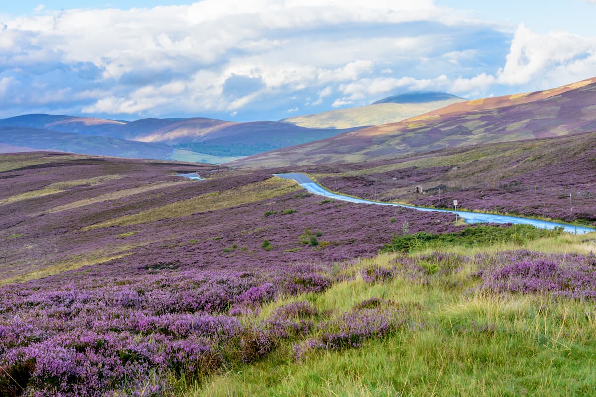 Rolling hills of the Cairngorms National Park