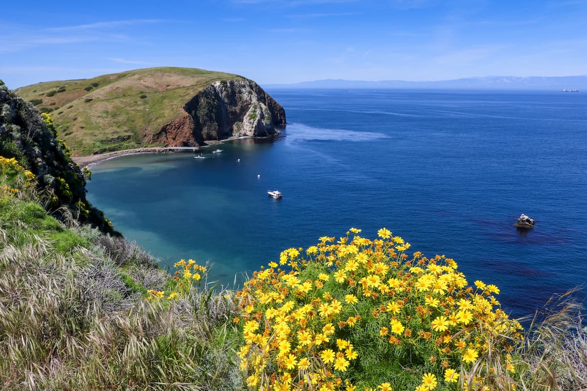 Channel Islands National Park