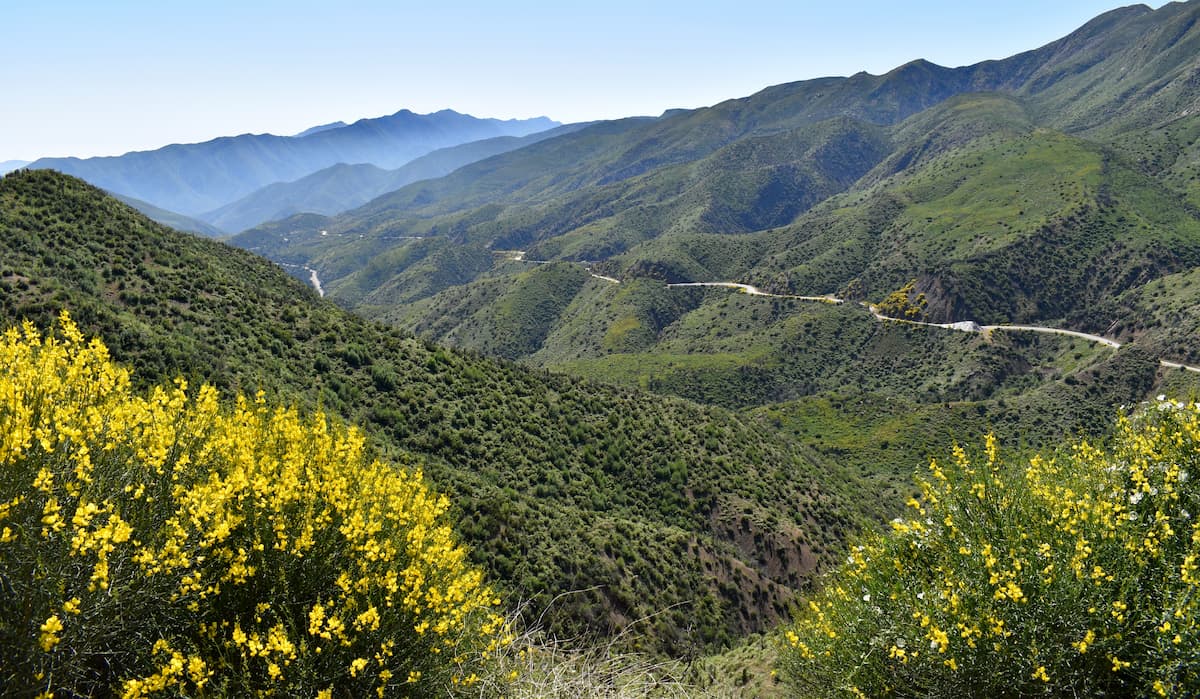 Los Padres National Forest