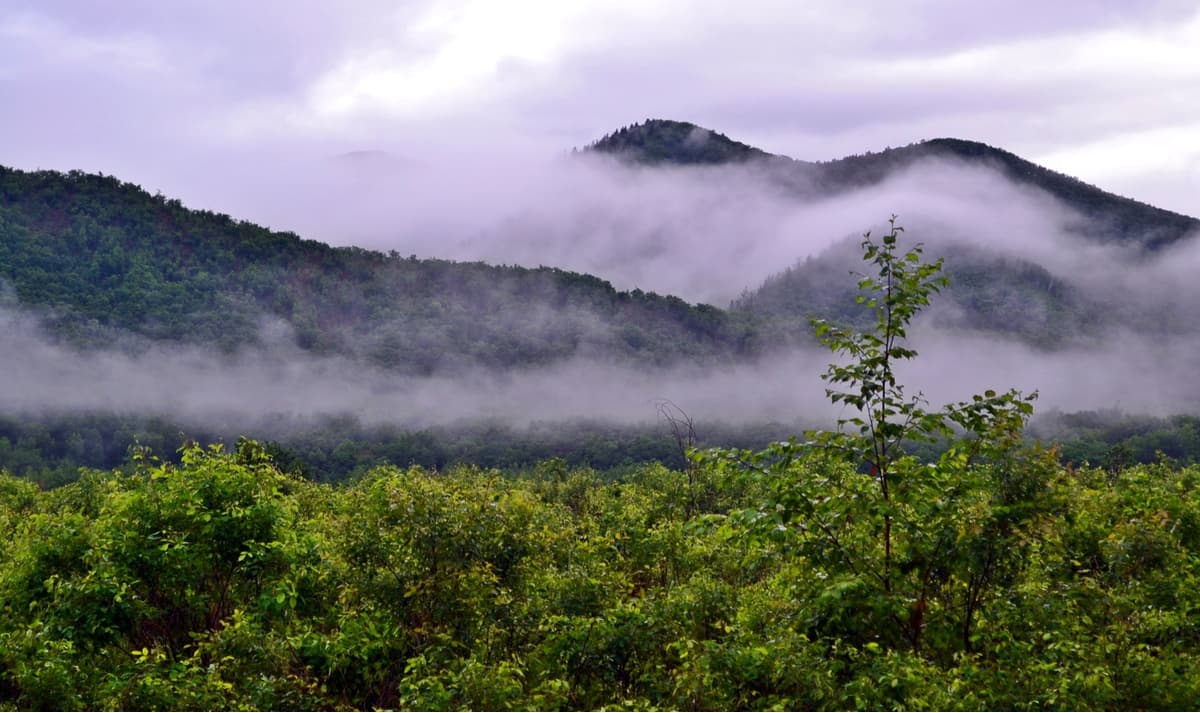 Mountains near River Milogradovka.