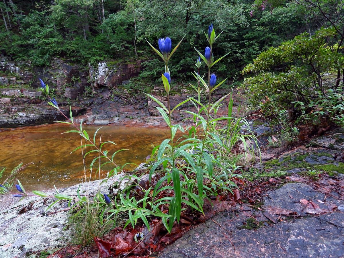 Top of the mount Yudychvumchorr. Khibiny mountains, Russia.