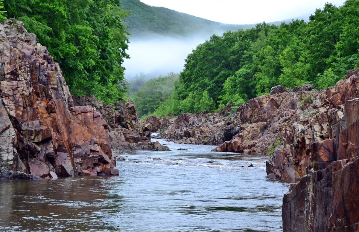The Call of the Tiger National Park